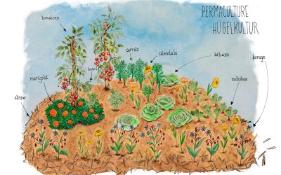 What on earth is Hügelkultur: How and Why?