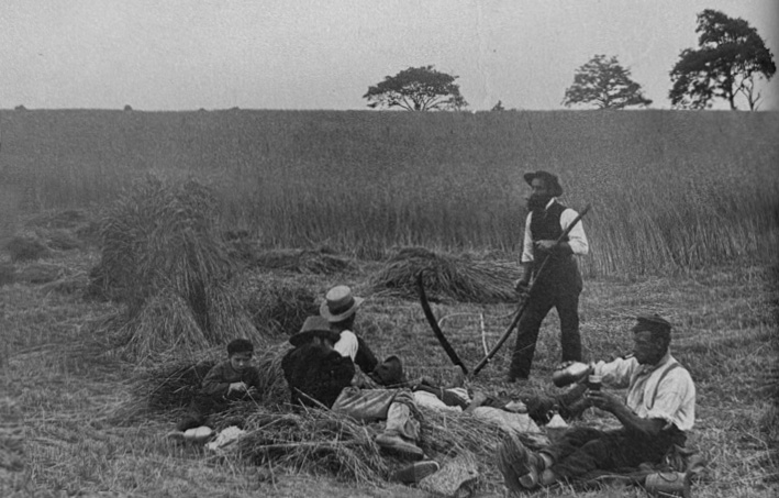 Springhill Farm Bromley